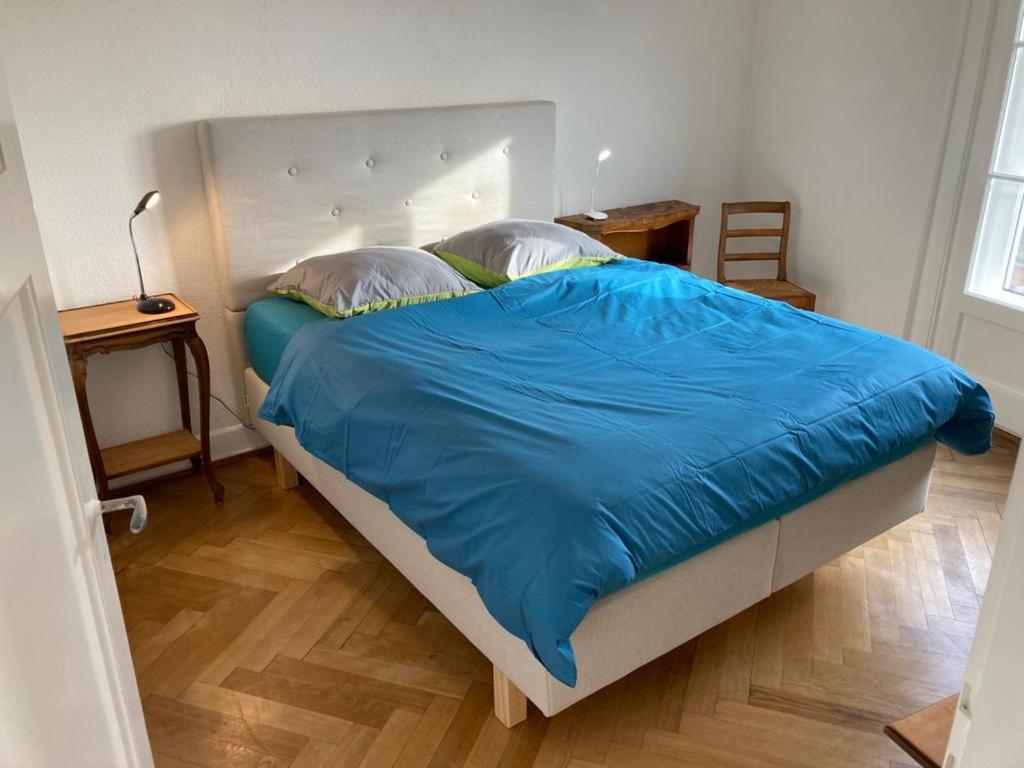 Joli 2 Pieces Dernier Etage, Lausanne Centre Экстерьер фото