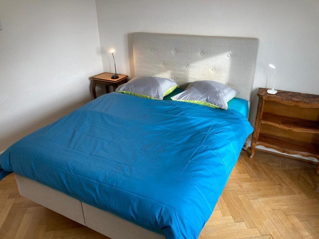 Joli 2 Pieces Dernier Etage, Lausanne Centre Экстерьер фото